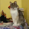 Отзыв от Альбина Субботина